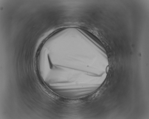 X0000078250342200612011635