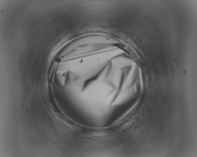 X0000078250344200612011635