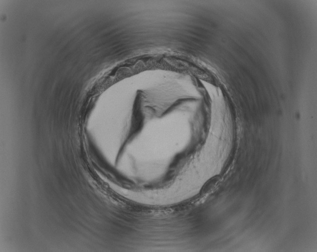 X0000078250345200612011635