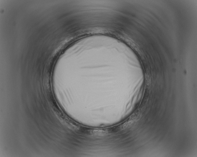 X0000078250347200612011635