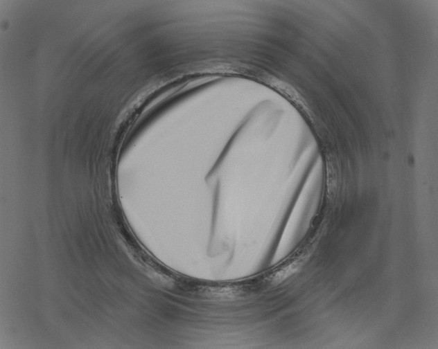 X0000078250349200612011635