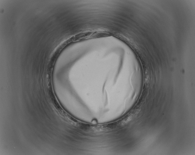 X0000078250351200612011635