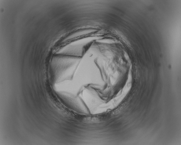 X0000078250354200612011635