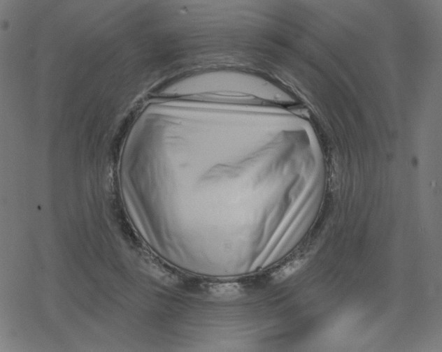 X0000078250355200612011635