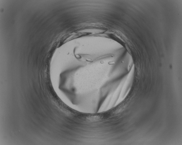X0000078250357200612011635