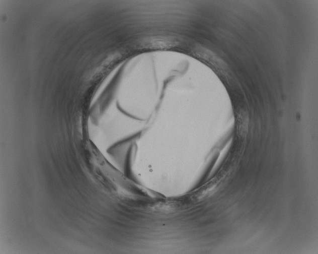 X0000078250358200612011635