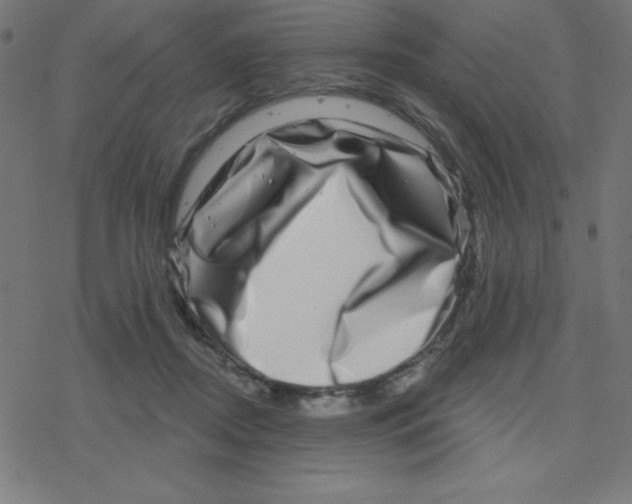 X0000078250362200612011635