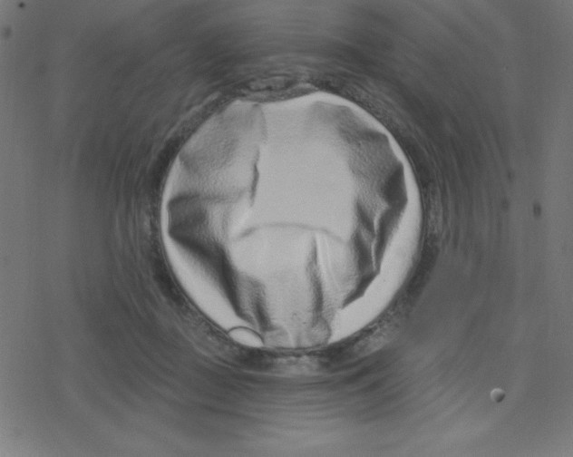 X0000078250363200612011635