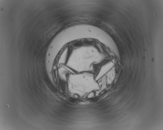 X0000078250364200612011635