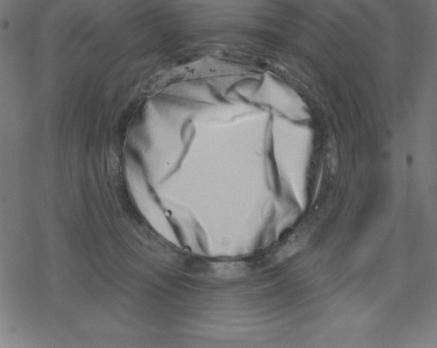 X0000078250371200612011635