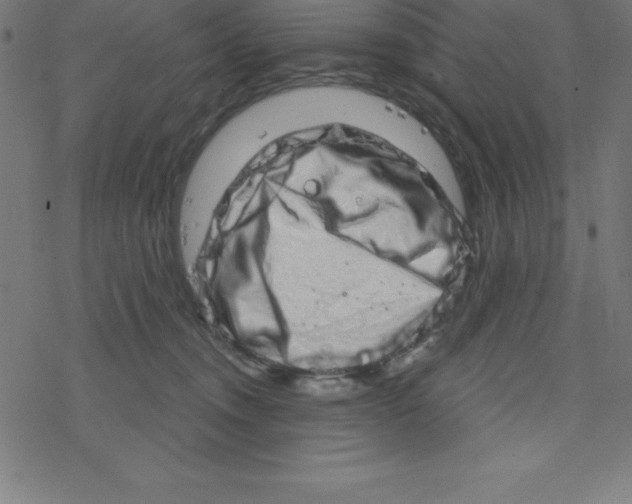 X0000078250372200612011635