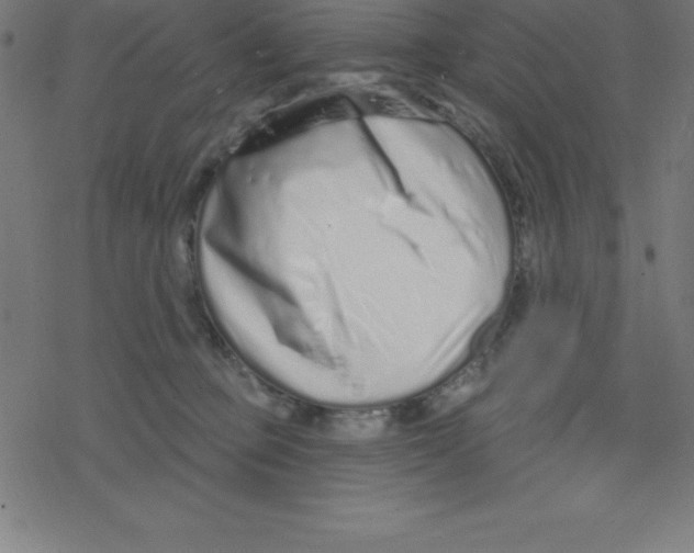 X0000078250373200612011635