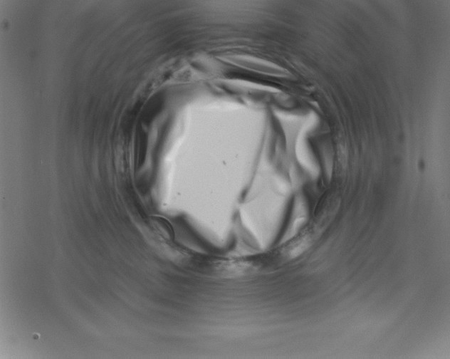 X0000078250379200612011635