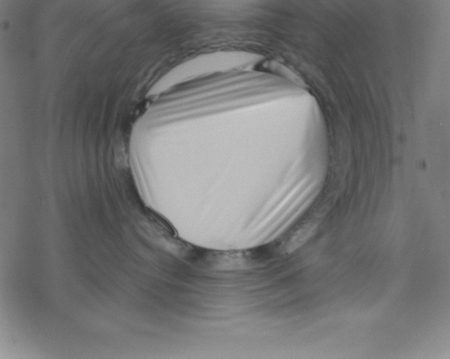 X0000078250384200612011636