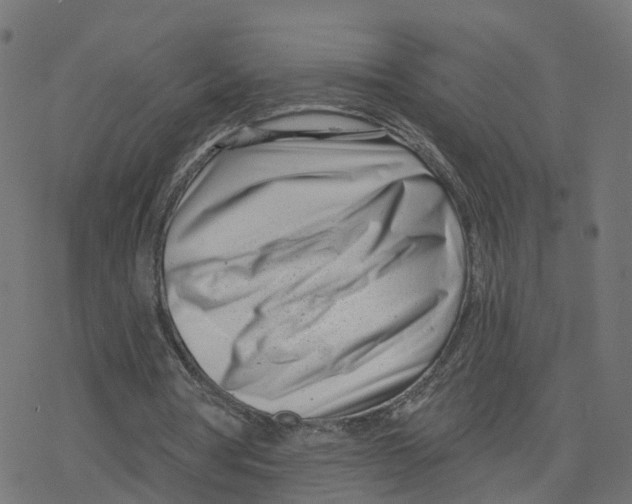X0000078250386200612011635