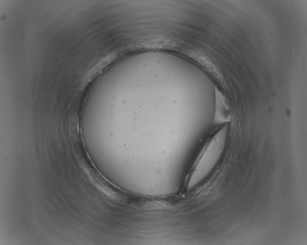 X0000078250397200612011635