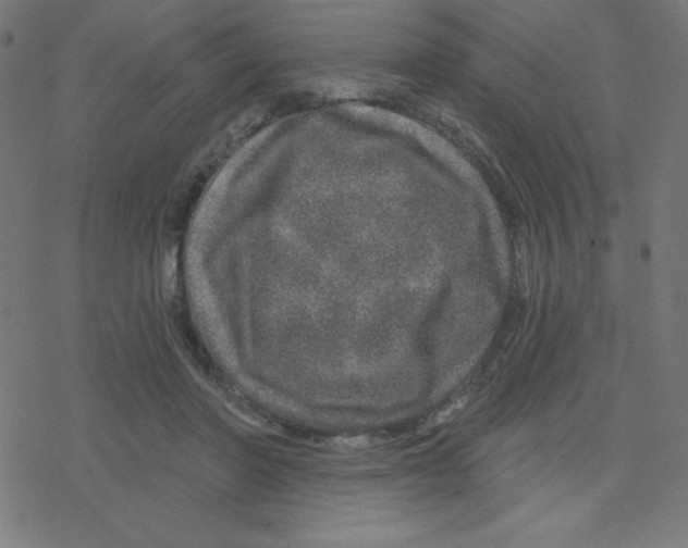 X0000078250406200612011634