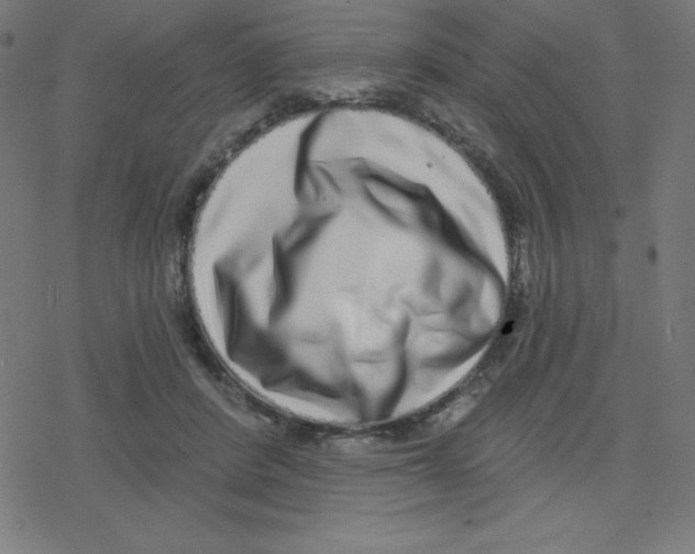 X0000078250408200612011634