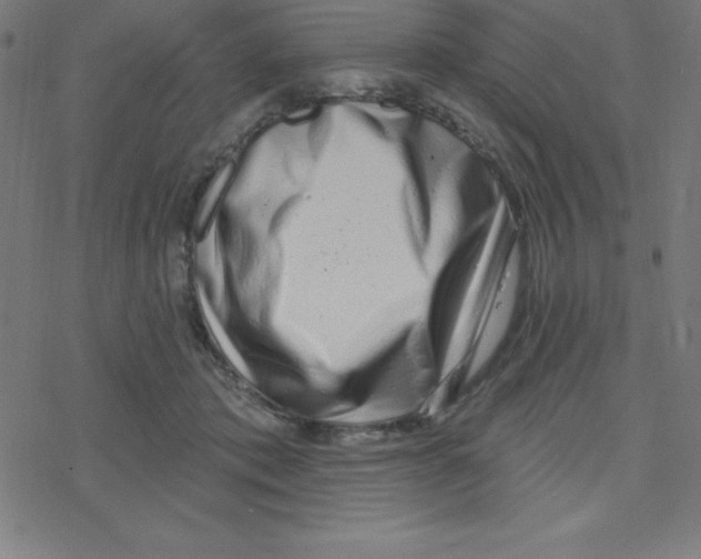 X0000078250413200612011634