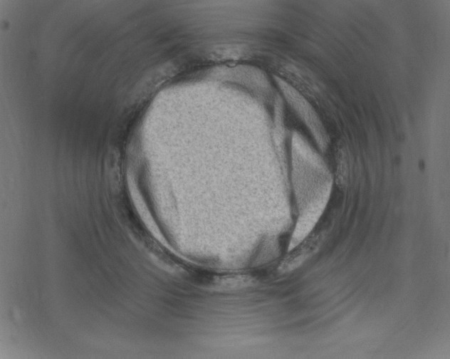X0000078250414200612011634
