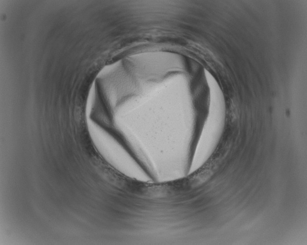 X0000078250417200612011634