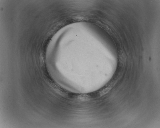X0000078250420200612011634