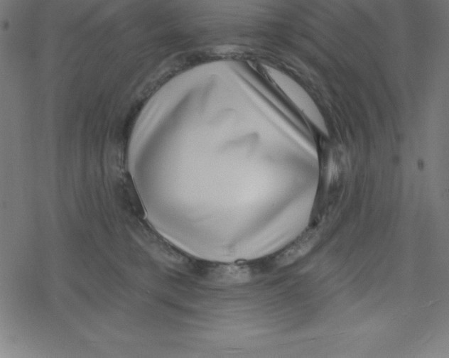X0000078250421200612011634