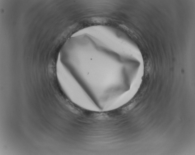 X0000078250424200612011634