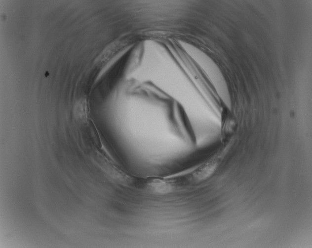 X0000078250425200612011634