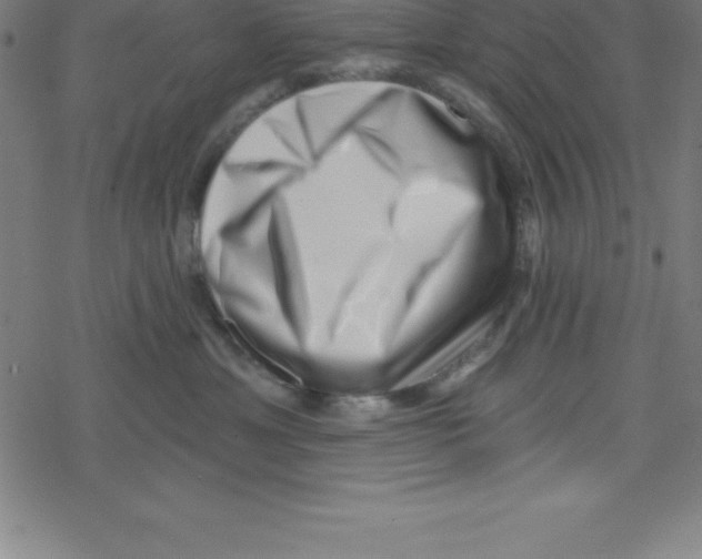 X0000078250429200612011634