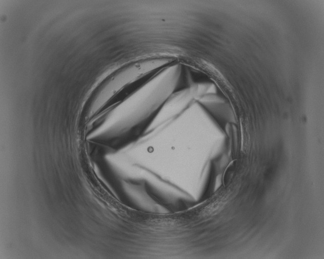 X0000078250435200612011633