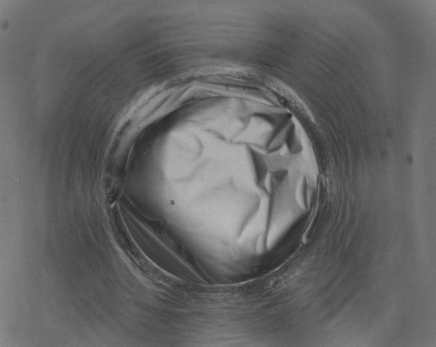 X0000078250436200612011633