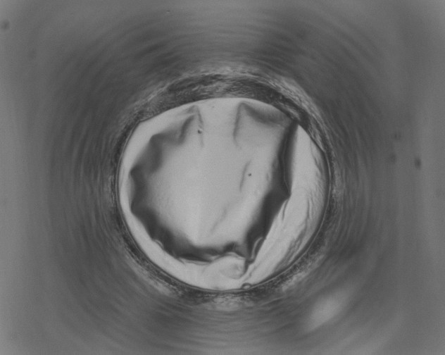 X0000078250441200612011633