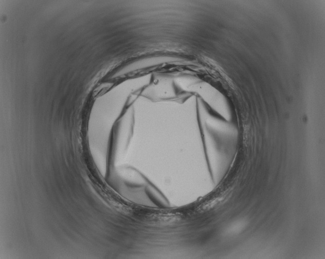 X0000078250443200612011633