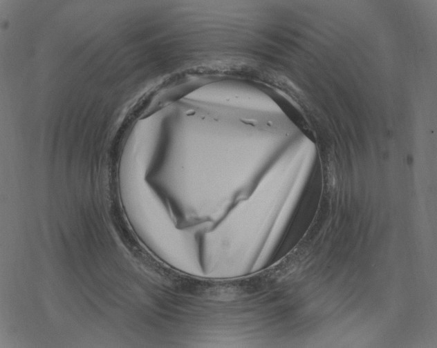 X0000078250444200612011633