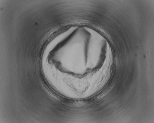 X0000078250445200612011633