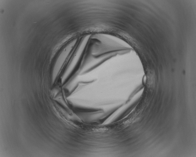 X0000078250446200612011633