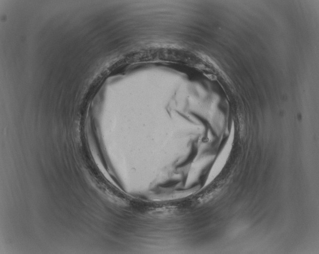 X0000078250447200612011633