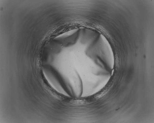X0000078250449200612011634