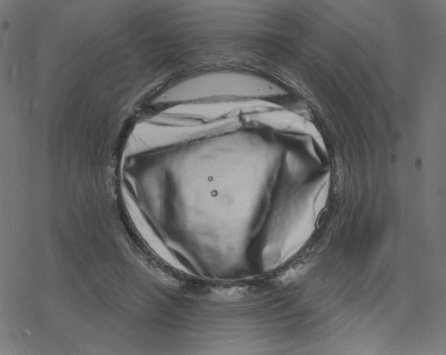 X0000078250450200612011634