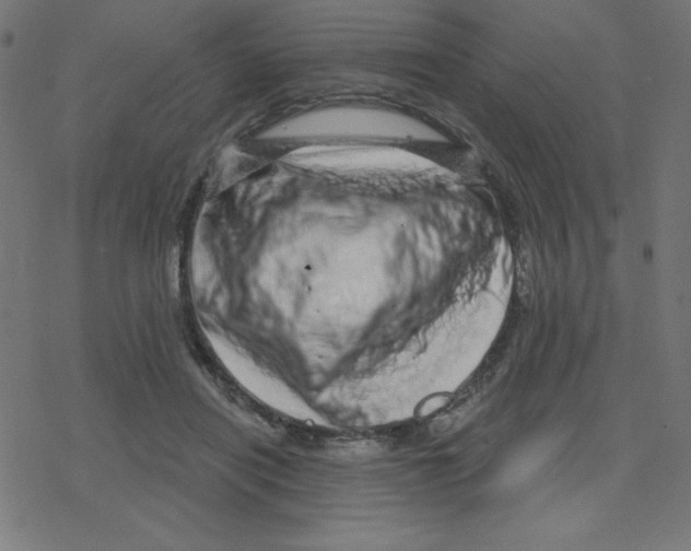 X0000078250454200612011634