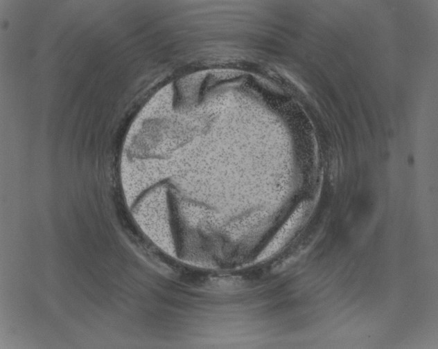 X0000078250455200612011634