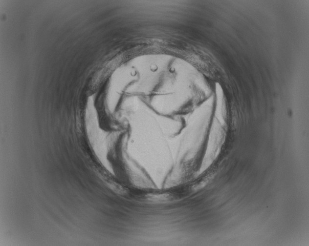 X0000078250457200612011634