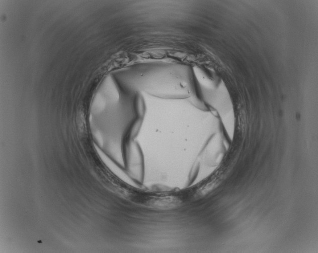 X0000078250459200612011634