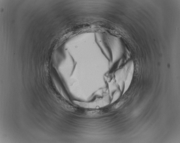 X0000078250461200612011634