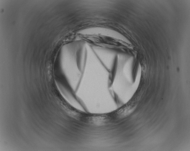 X0000078250462200612011634