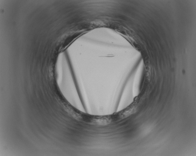 X0000078250466200612011634