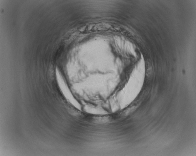 X0000078250469200612011634