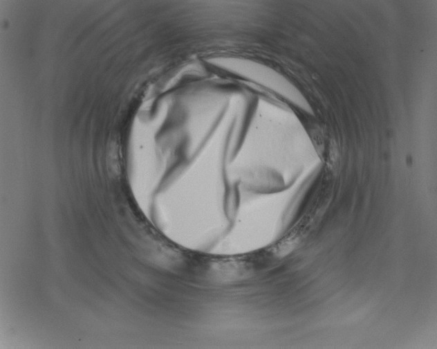 X0000078250470200612011634