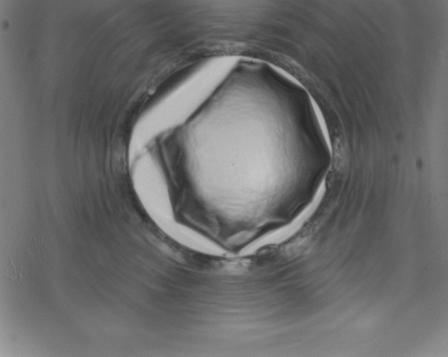 X0000078250474200612011634